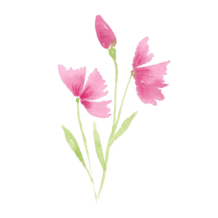 Aquarell Blumen malen: 9 einfache Blüten für Anfänger