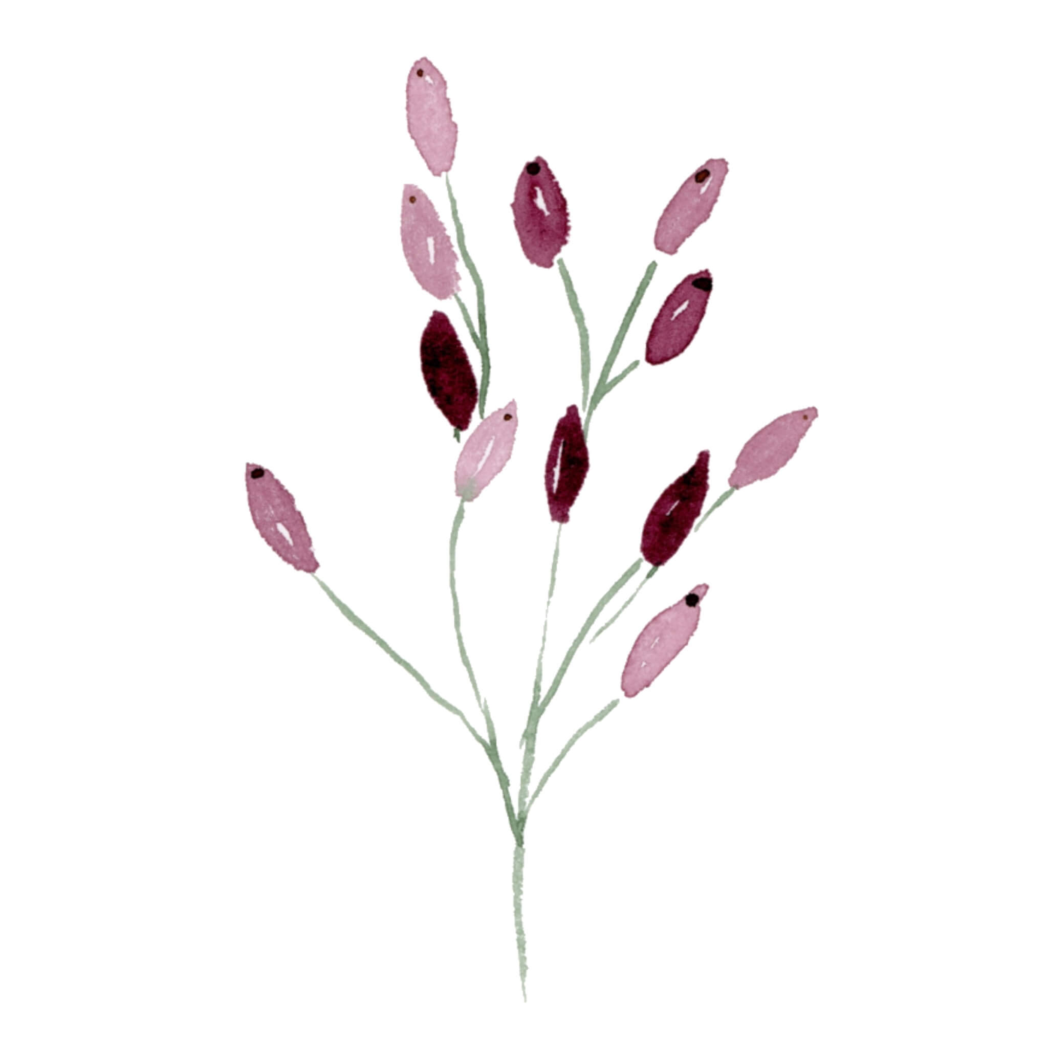 Aquarell Blumen malen: 9 einfache Blüten für Anfänger