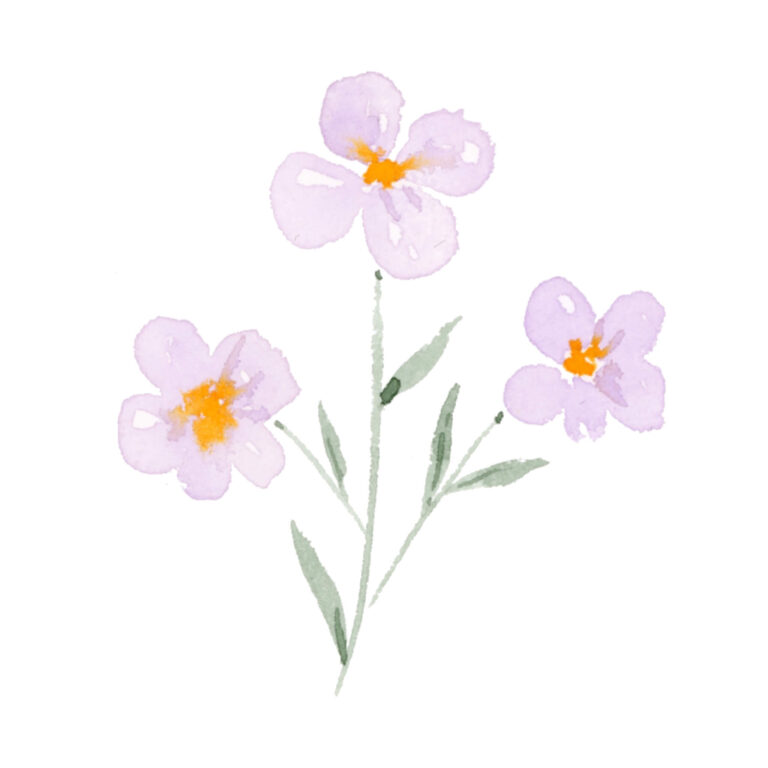  Foto zu Aquarell Blumen malen: 9 einfache Blüten für Anfänger 