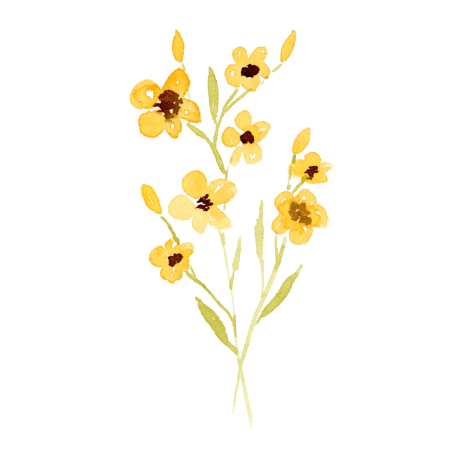  Aquarell Blumen malen: 9 einfache Blüten für Anfänger Illustration 