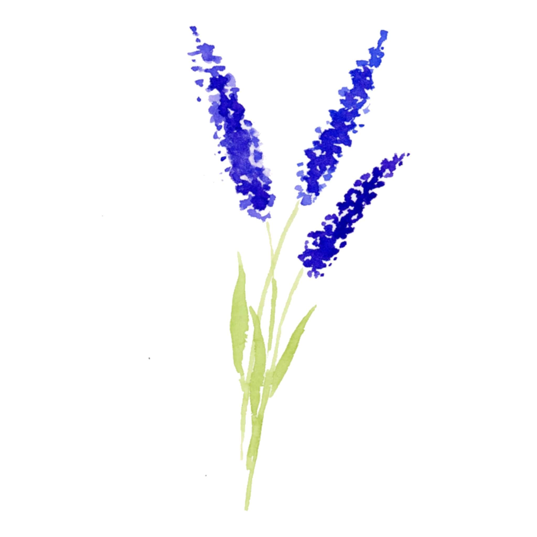 Aquarell Blumen malen: 9 einfache Blüten für Anfänger