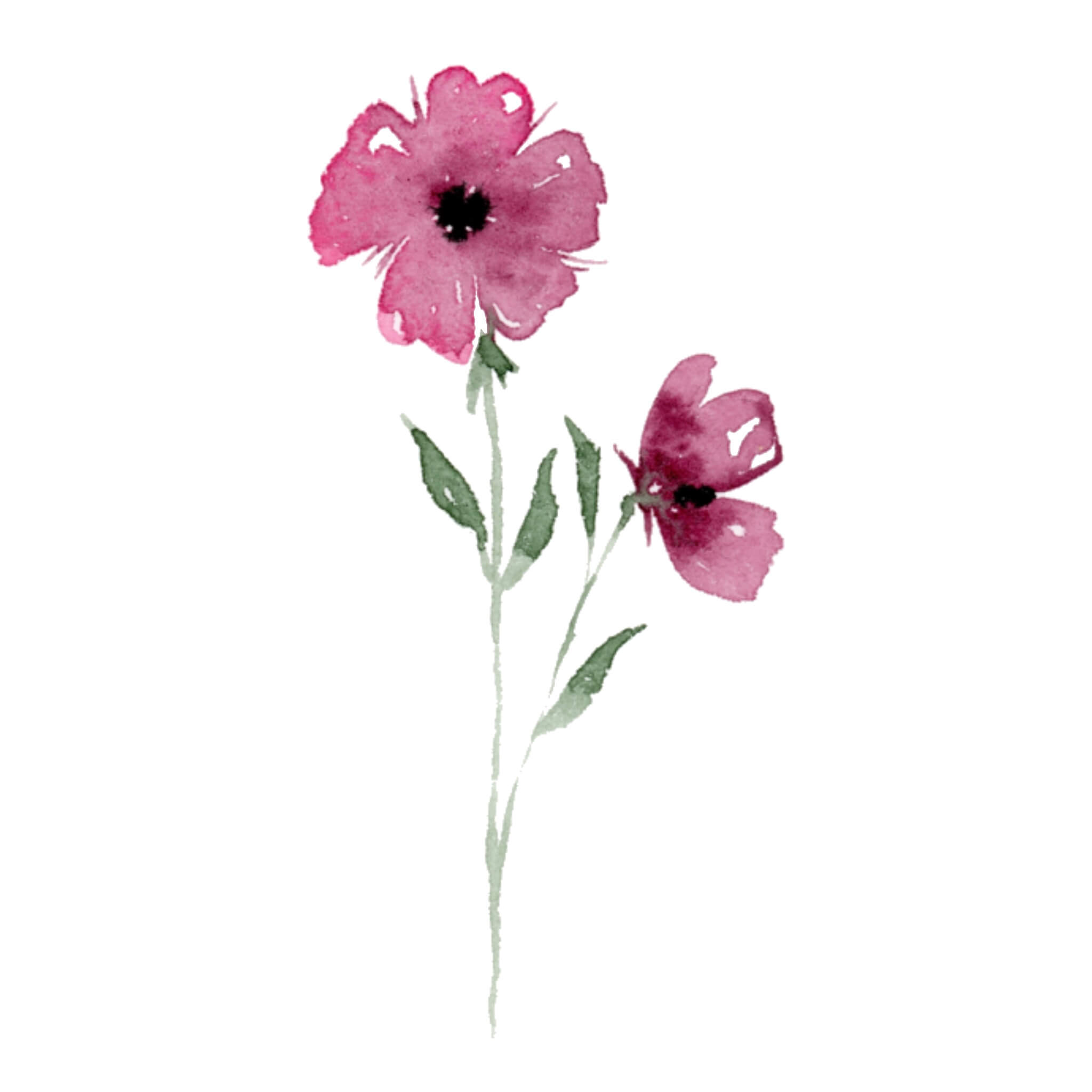 Aquarell Blumen malen 9 einfache Blüten für Anfänger