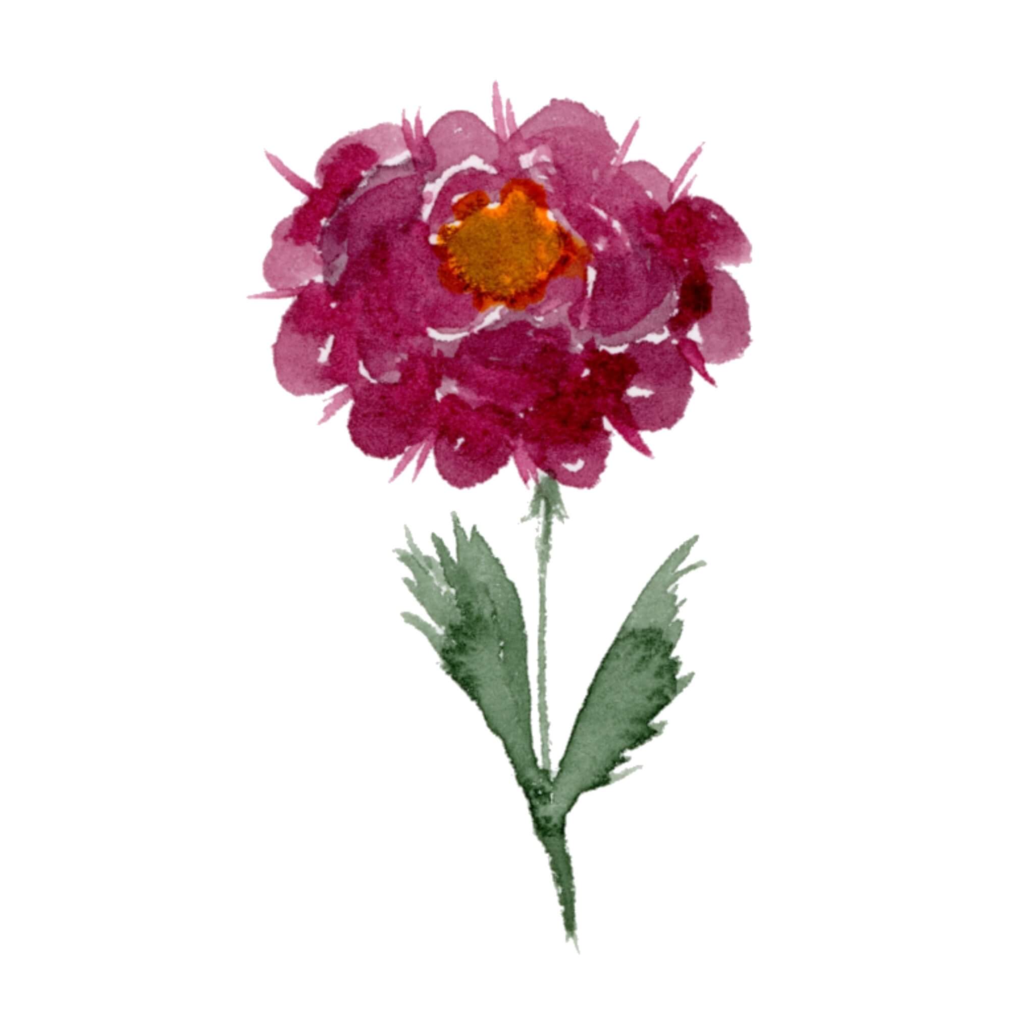  Aquarell Blumen malen: 9 einfache Blüten für Anfänger Motiv 