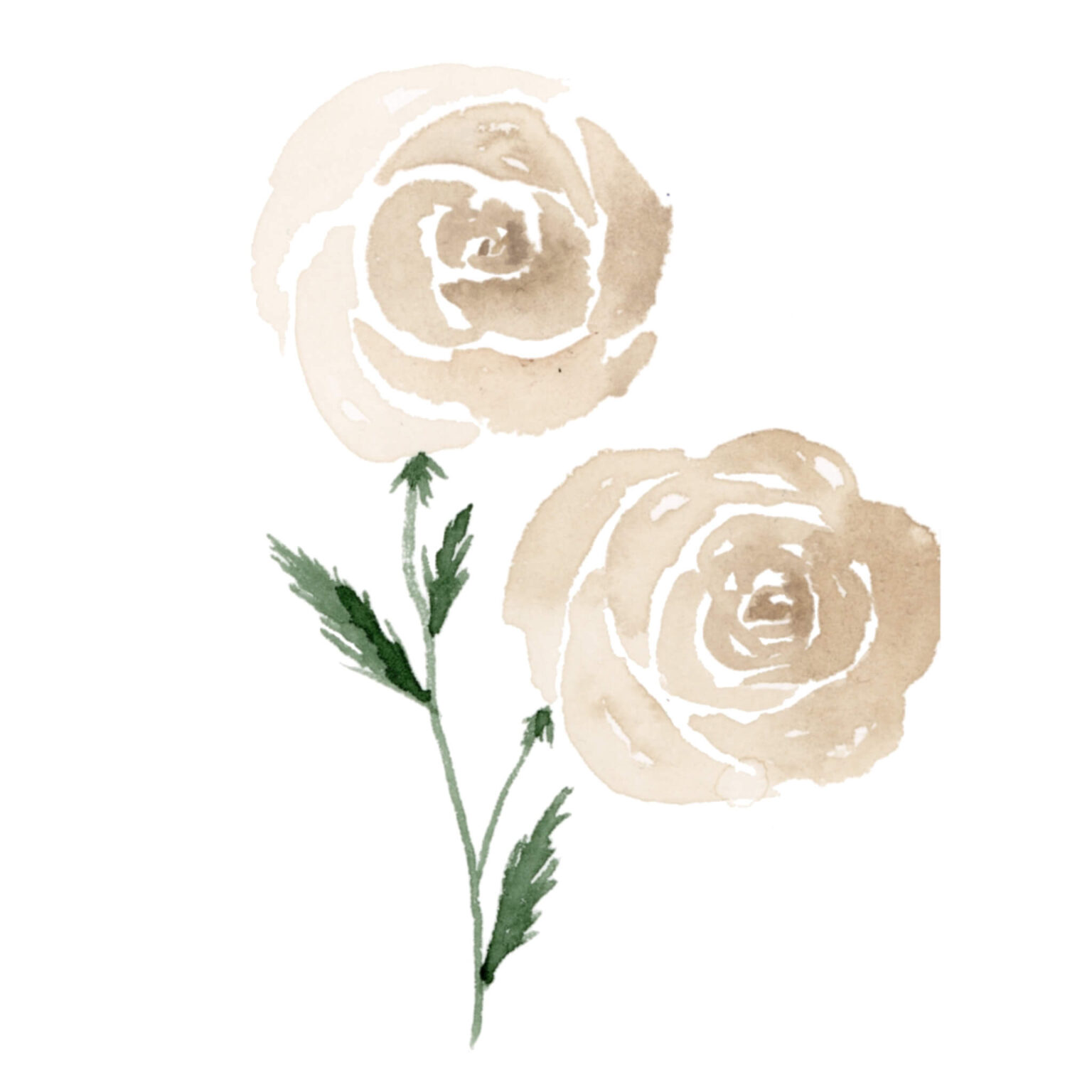  Foto zu Aquarell Blumen malen: 9 einfache Blüten für Anfänger 